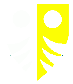 Per pale sable and Or, two roundels and three wolf's teeth inverted issuant from dexter and three wolf's teeth inverted issuant from sinister counterchanged argent and sable